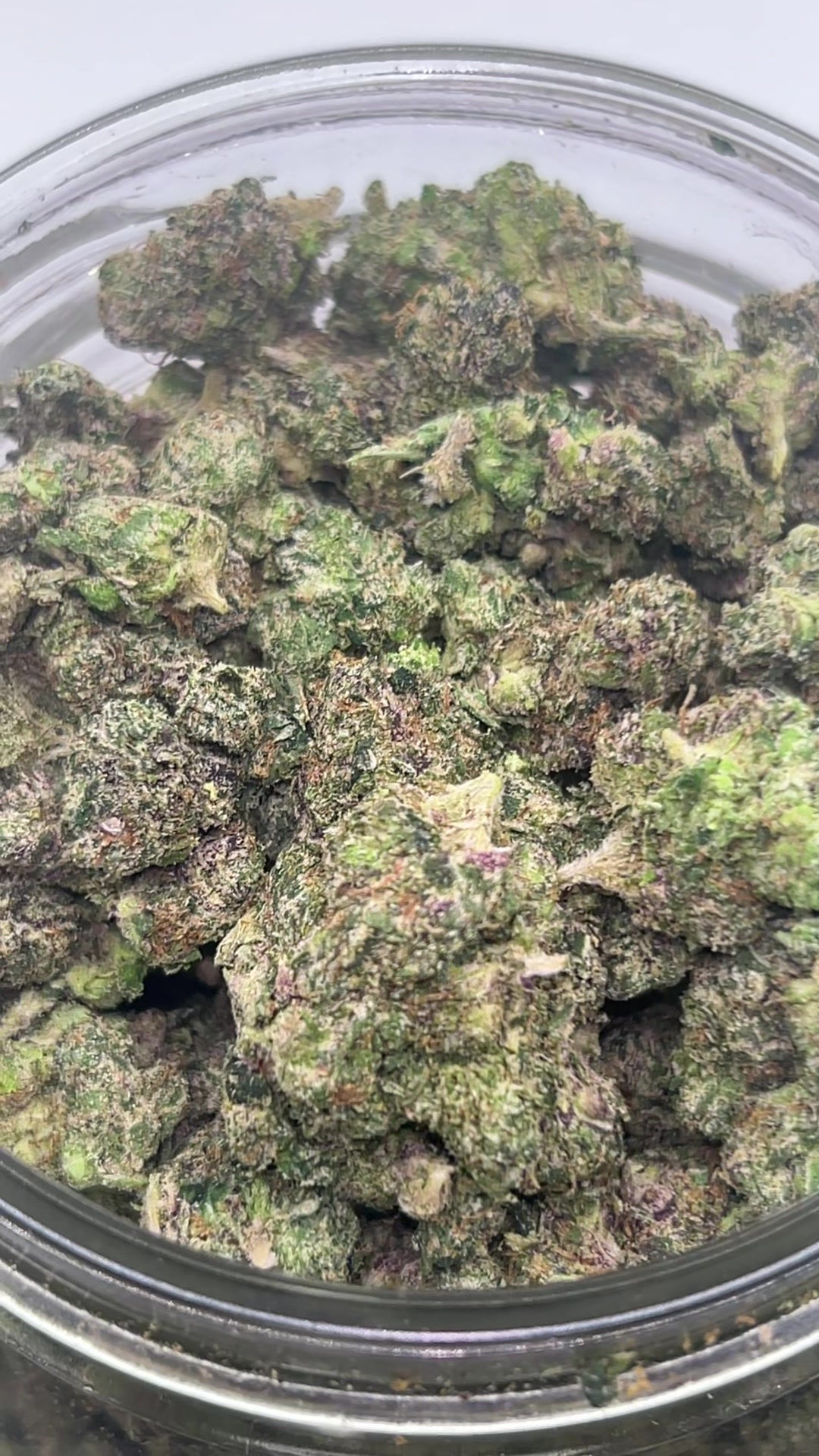 Gelato33 (smalls)(7g)