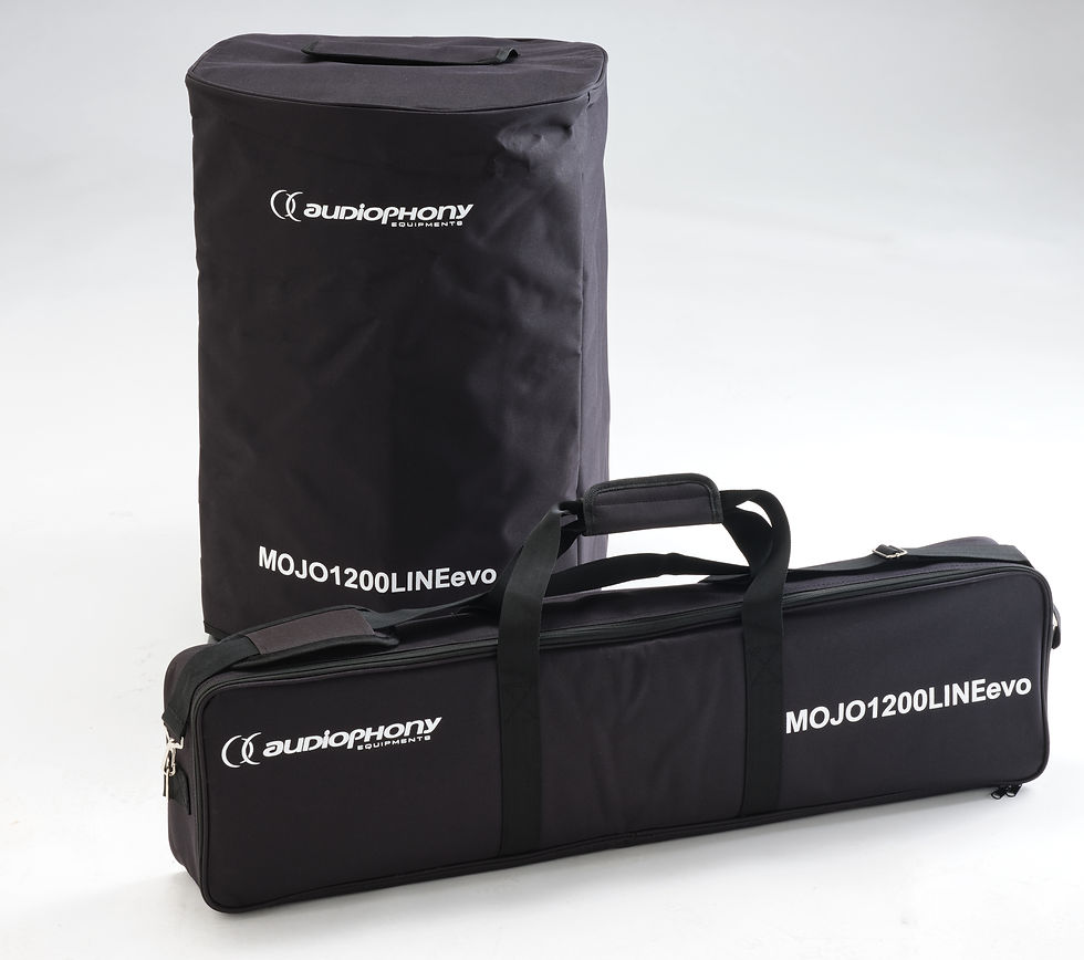 Thumbnail: Système Amplifié Mojo1200