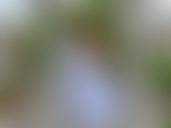 Capture Your Wedding Moments with PJ Photography