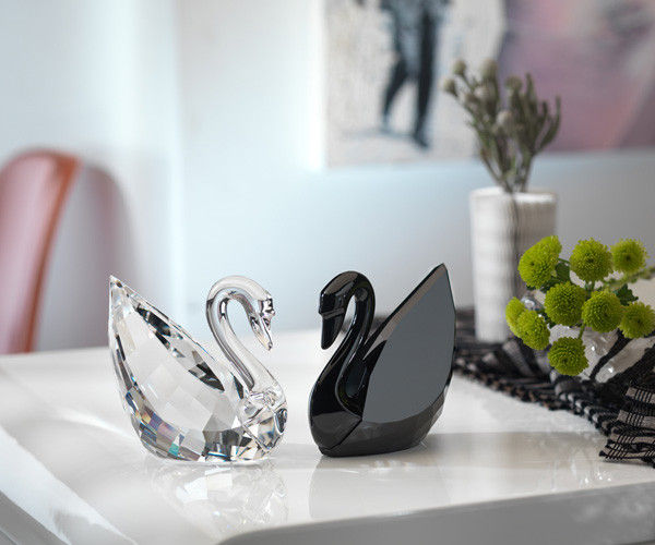 b&w swan.jpg