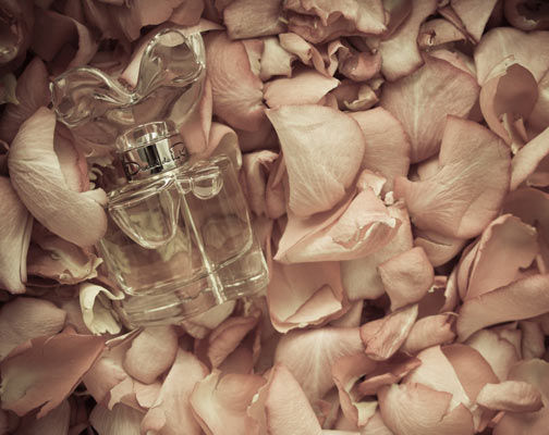 perfume odlr.jpg