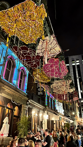 Frankie Meaden Flourishing Fibre Artwork in situ at night.png