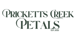 Yellow Logo (Presentation) (2).png
