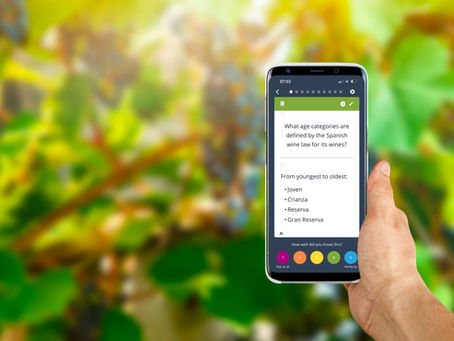 Flashcards are the Ultimate Tool to Ace Your WSET Level 3 Award in Wines Exam