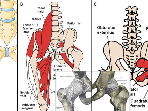Anterior Versus Posterior Total Hip Replacement; A Patient-Friendly Rabbit Hole