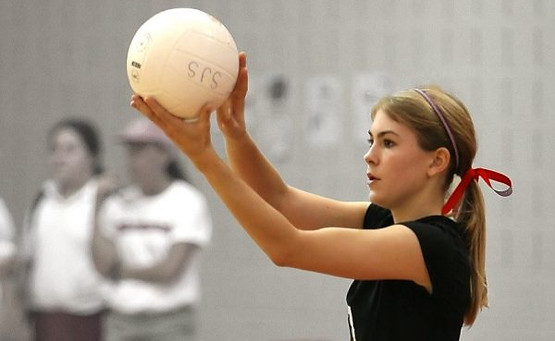 volleyball-1544453_1280-pcs3rkf3jccx3013vk9hrgaufej3fz61ae94hvom5k.jpeg