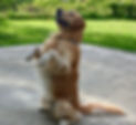 59eafee3-9aed-4492-8067-382ce7c62367.jpg