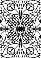 image00018.jpeg