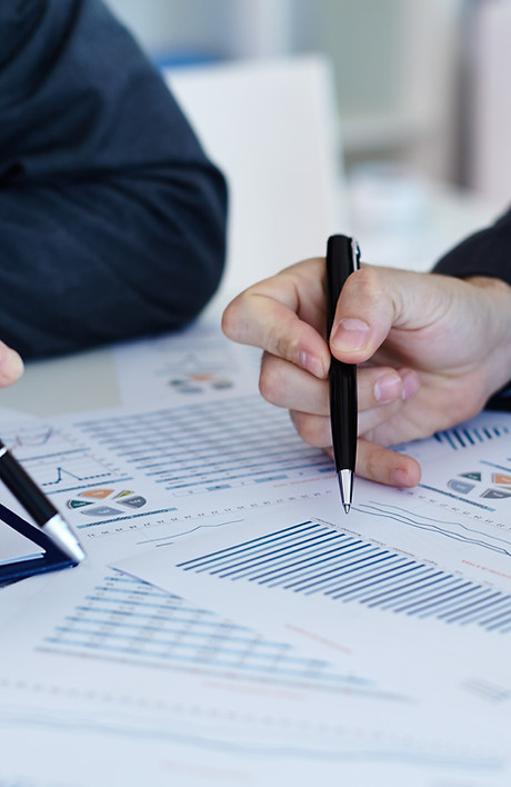 Analysing the Data