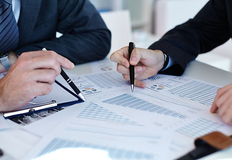 Analysing the Data