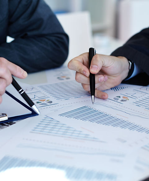 Analysing the Data