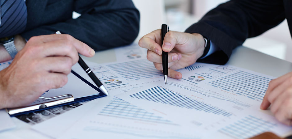 Analysing the Data