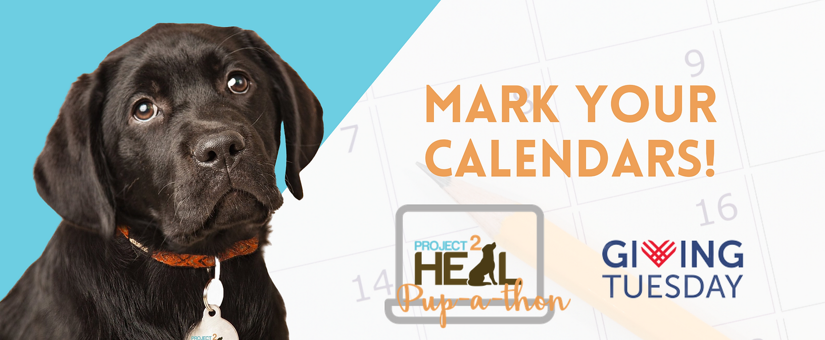 giving-tuesday-2022-header