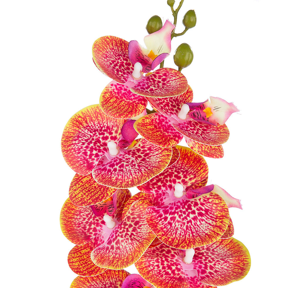 תמונה ממוזערת: פרח צבעוני "Orchid"