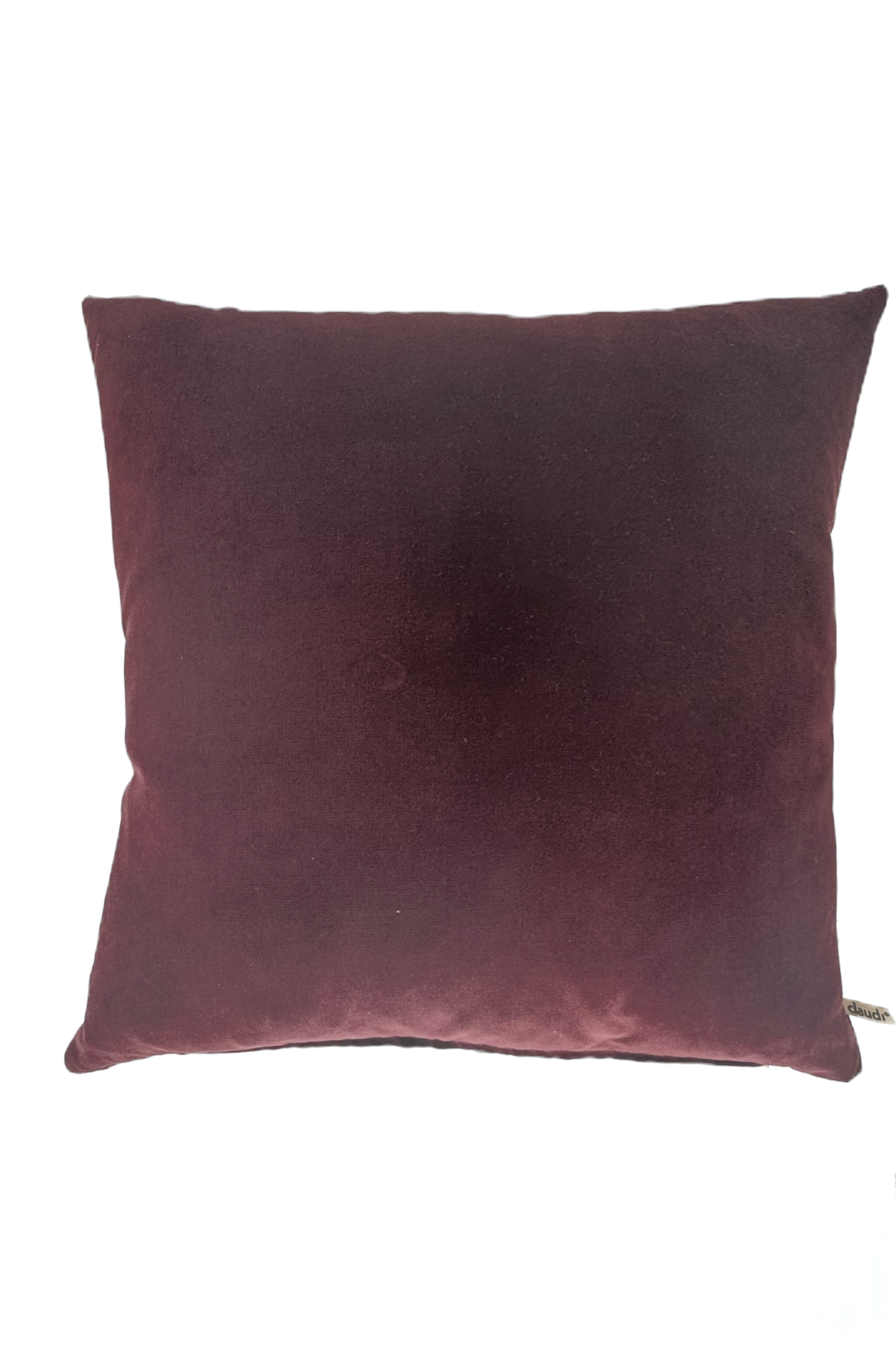 כרית נוי Scott