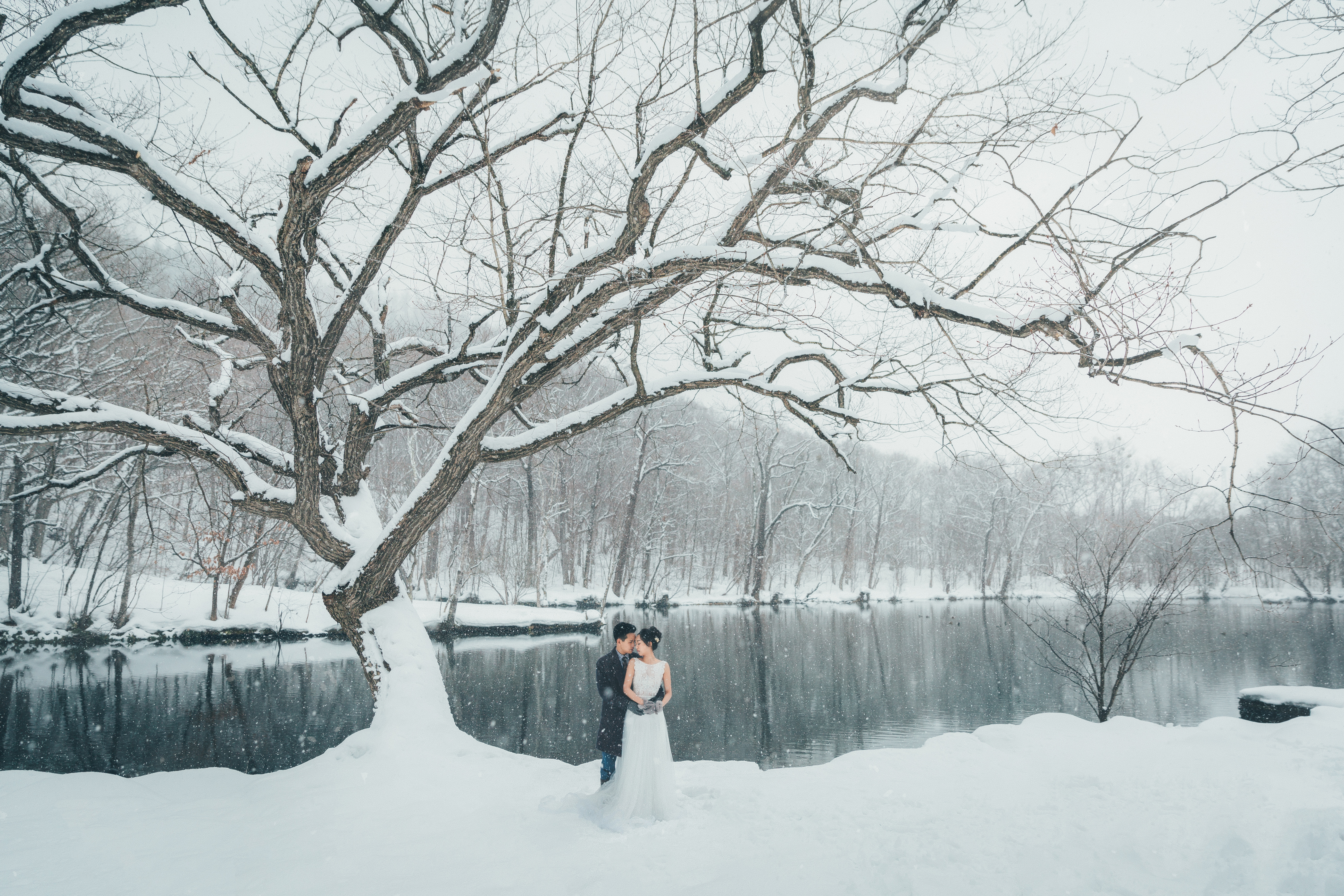 ▍2016 北海道婚紗企画 ▍
