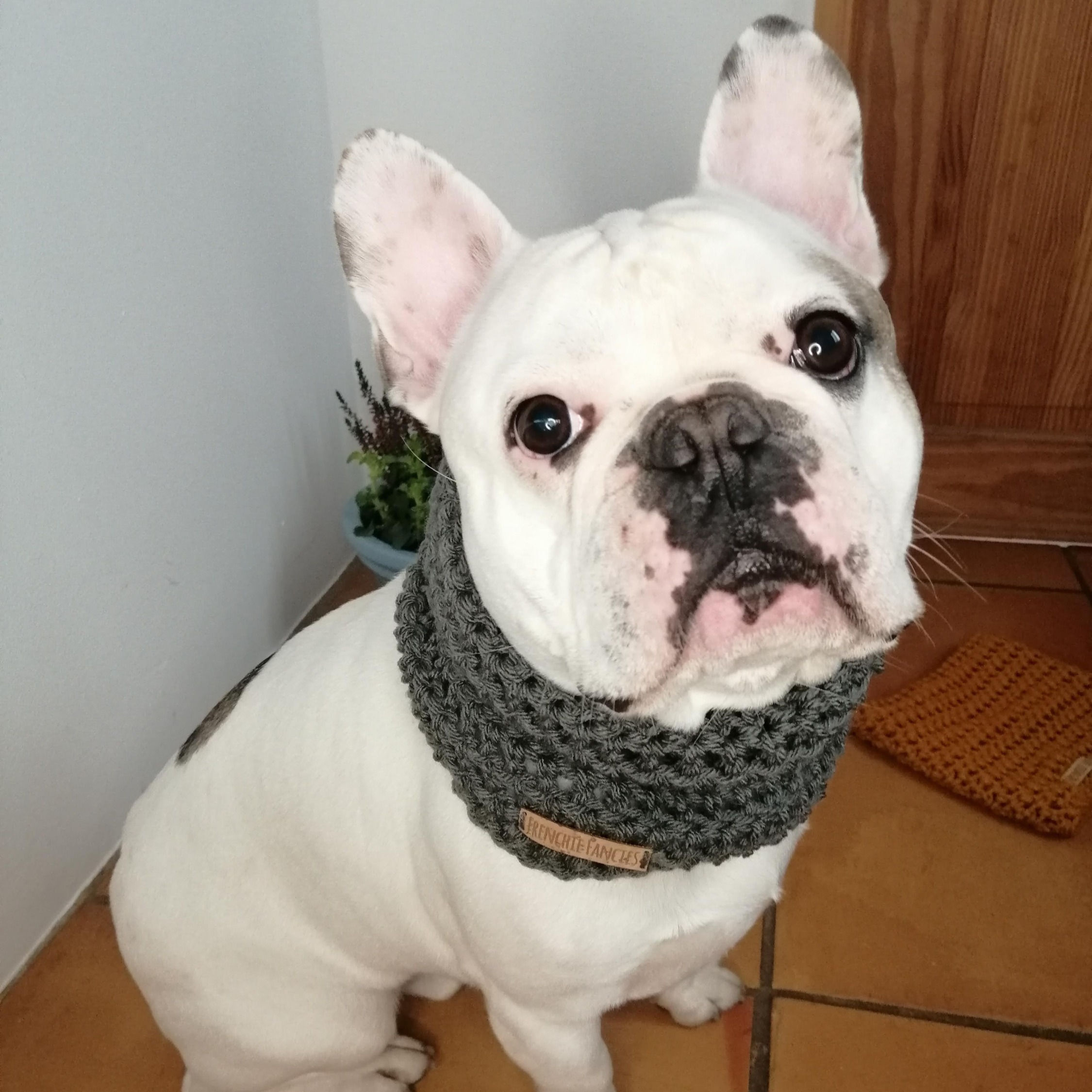 Crochet Snood