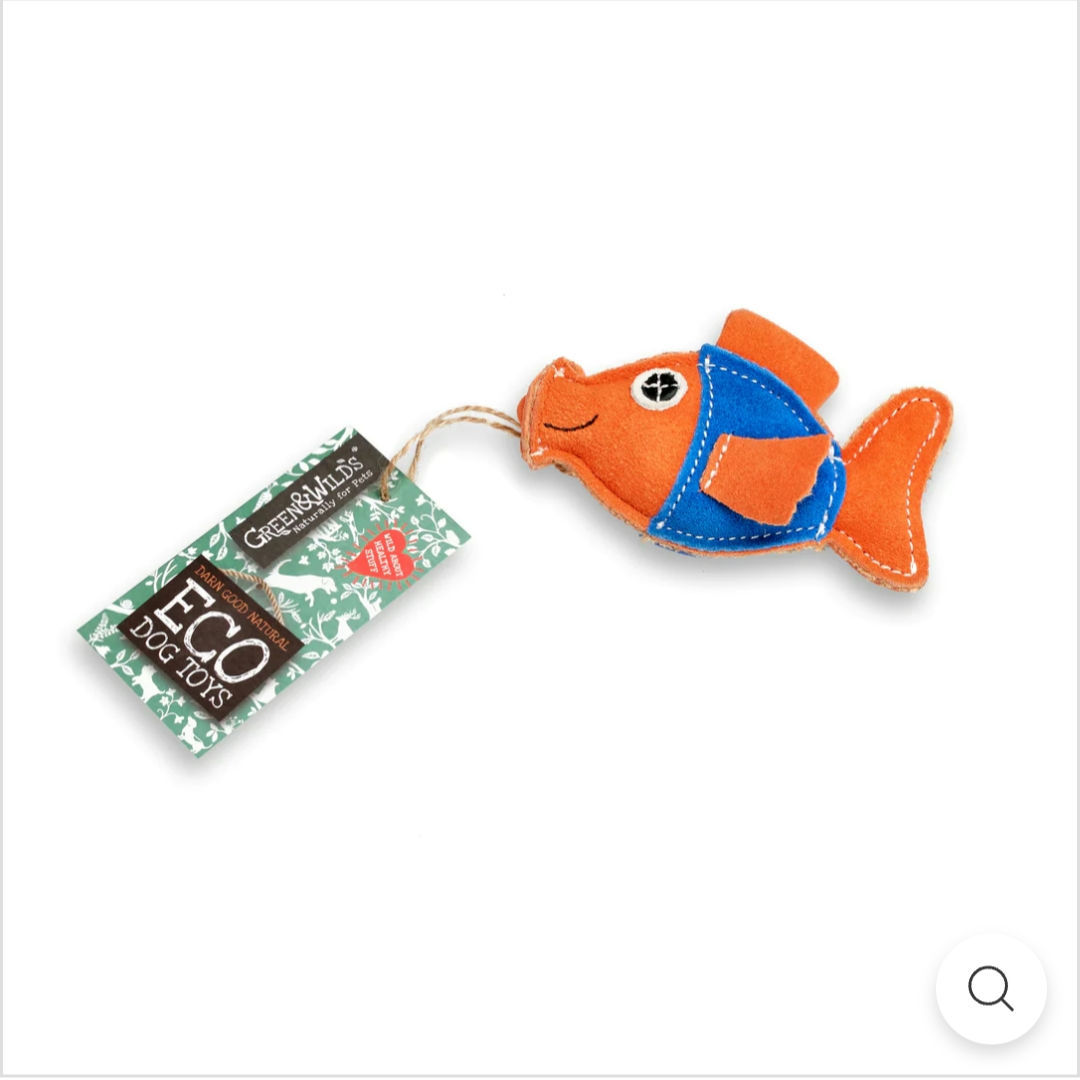 Goldie goldfish