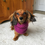 Thumbnail: Crochet Snood