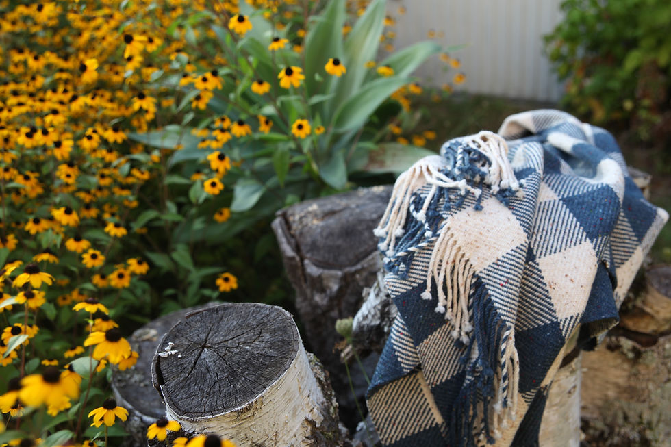 Miniature : Plaid à carreaux bleu et écru en Mérinos