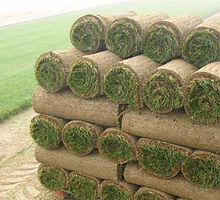 sod-delivery.jpg