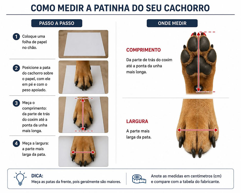Miniatura: como medir as patinhas do cachorro