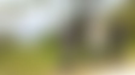 Conociendo el café zoque de Chiapas, sus terrenos y personas