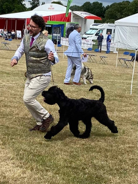 Windsor Champ show '22