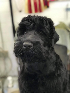 Eddie first trim