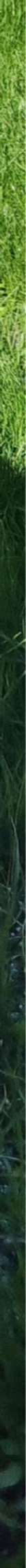 20221105_094856_edited.png