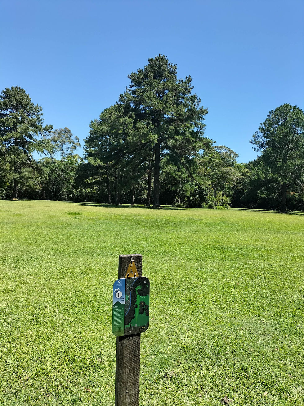 ae5a7bc9-e66a-400b-bde2-f1c2acebfca5