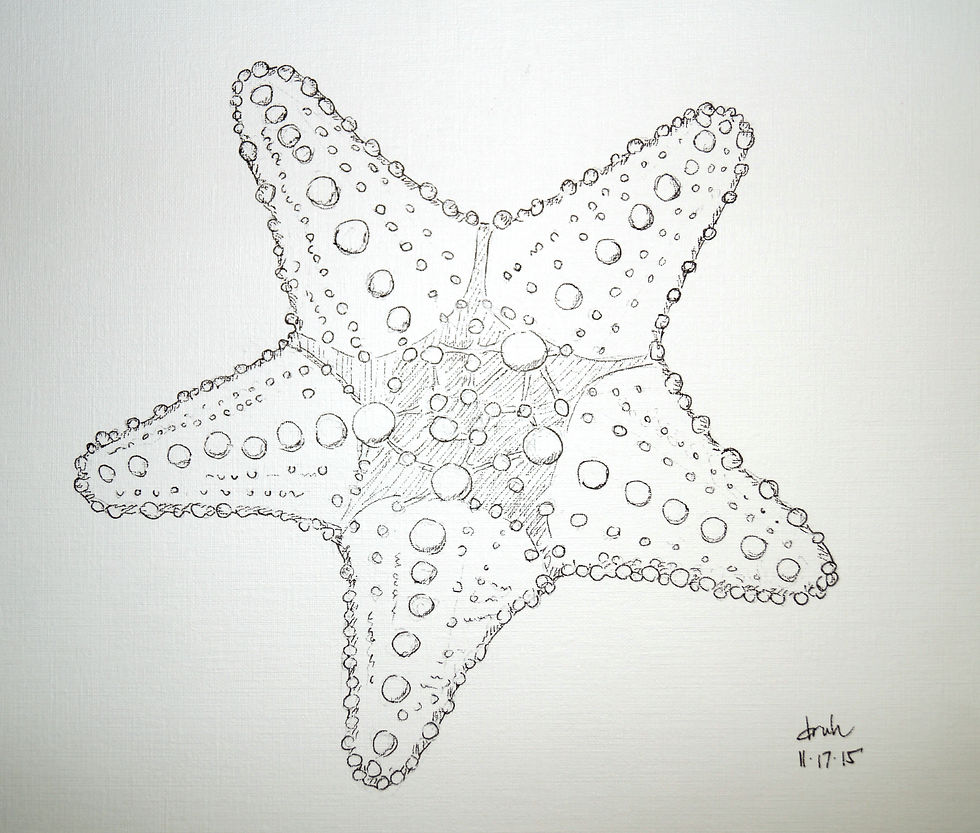 Starfish