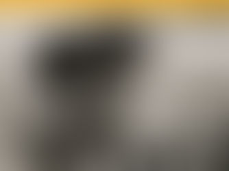 Leila Slimani: "Trag das Feuer weiter" , (Luchterhandverlag): Lesung mit Musik im Wiener Konzerthaus