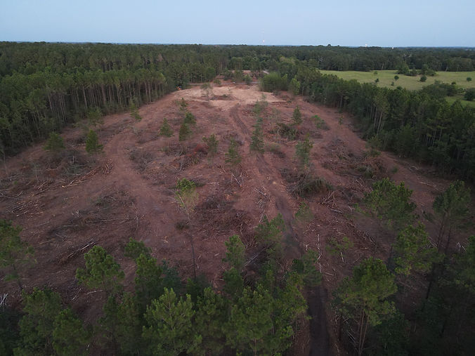 DJI_0241.JPG