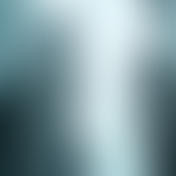 Exploring Legal Services in Thailand