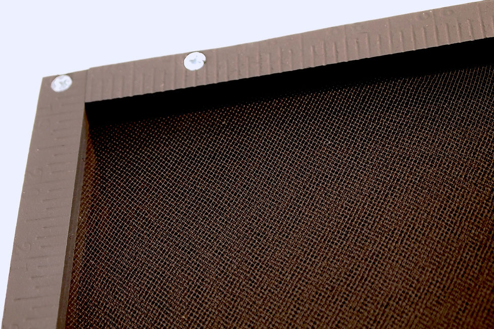 19 detail2.JPG