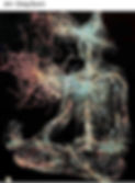 IMG_3984.jpeg