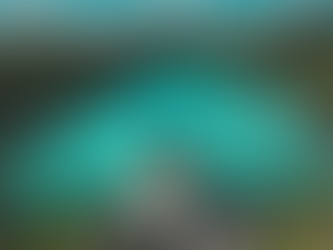 Menyatu dengan Alam di Sumba: Liburan Tenang Jauh dari Hiruk Pikuk Kota