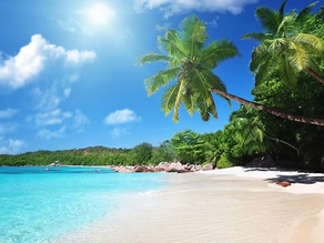 Pantai Trikora, Permata Tersembunyi di Bintan – Kepulauan Riau