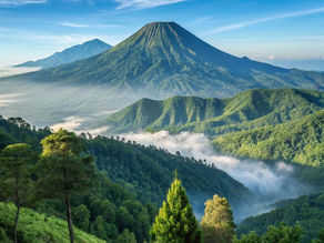 Menyapa Keindahan Gunung Merbabu: Surga Pendaki di Atas Awan