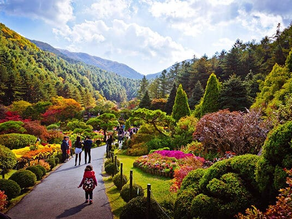 Garden of Morning Calm – Taman Romantis Sepanjang Tahun
