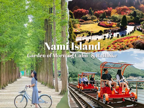 Tiba di Korea & Menjelajah Nami Island