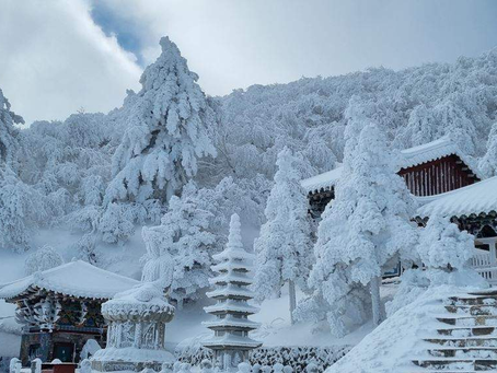 Wisata Salju di Gunung Taebaeksan: Surganya Pecinta Winter