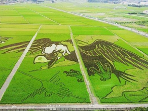 Nikmati Wisata Perkebunan & Festival Petani Korea