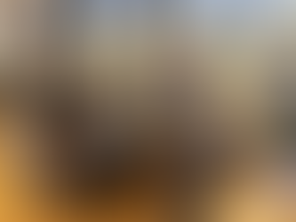 Board Game Café – Main Bareng, Seru Bareng!