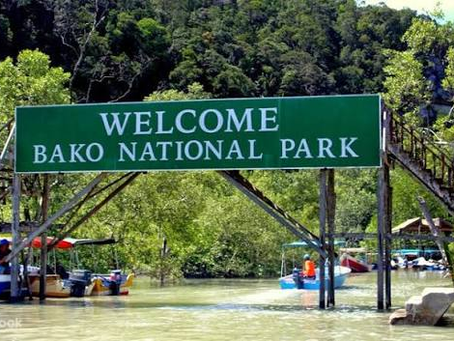 Bako National Park: Menjelajahi Alam Sarawak