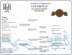 Pica's Pedigree