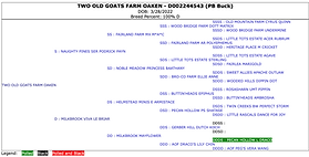 Oaken Pedigree.png