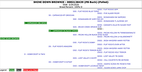 Screenshot 2025-02-01 at 1.05.43 PM.png