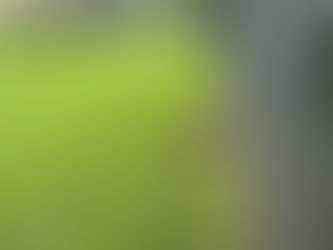 Rasenroboter für Fussballplatz